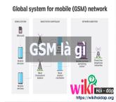 Cung cấp ví dụ về các quốc gia sử dụng CDMA và GSM và tầm quan trọng của việc chọn lựa đúng chuẩn trong các quốc gia đó.