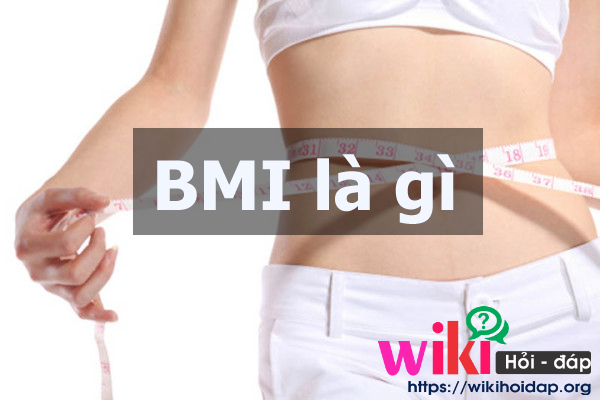 BMI là gì? Cách tính BMI và mối liên hệ với bệnh gút