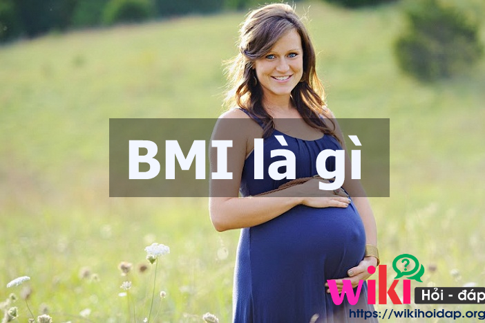 BMI là gì
