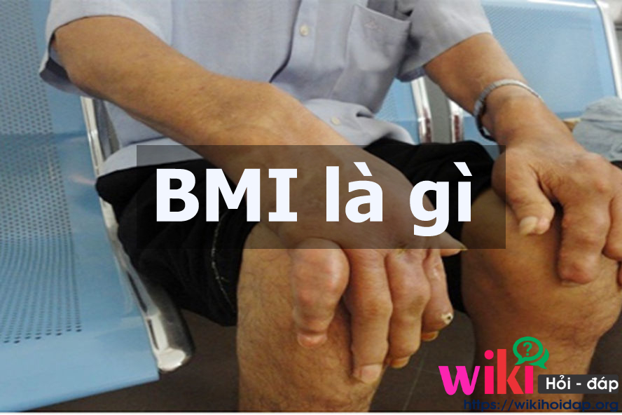 BMI là gì
