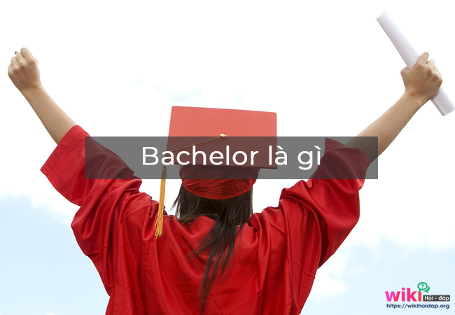 Bachelor hay bachelor degree là gì?