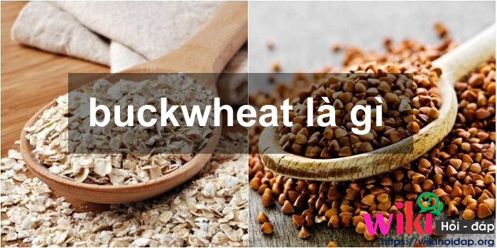 buckwheat là gì