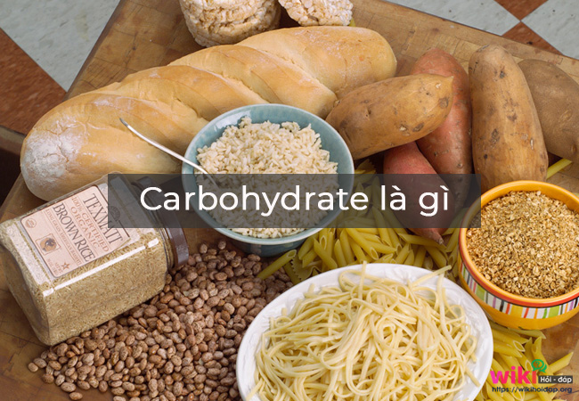 Carbohydrate là gì? Các loại carbohydrate và vai trò của chúng