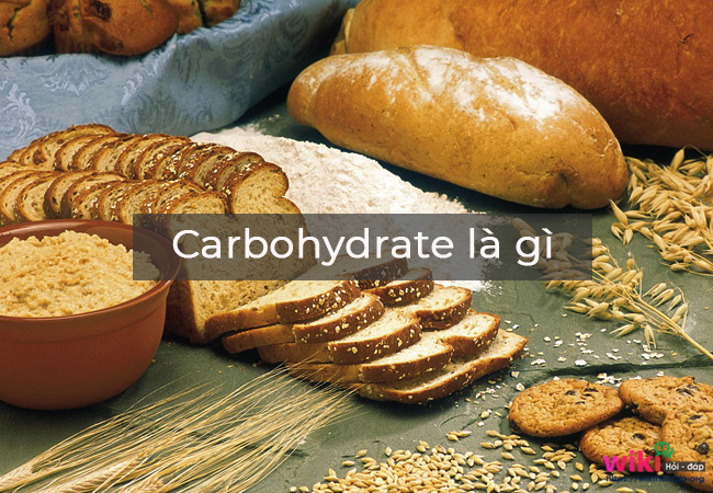 Carbohydrate là gì?