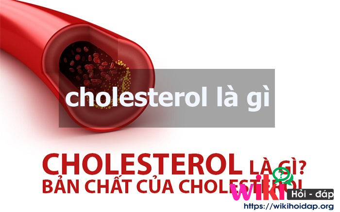 Cholesterol là gì? Những điều bạn nên biết liên quan đến vấn đề cholesterol