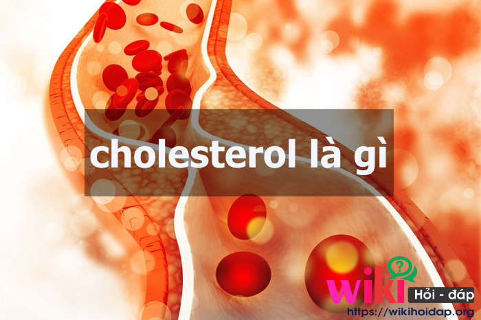 cholesteron là gì