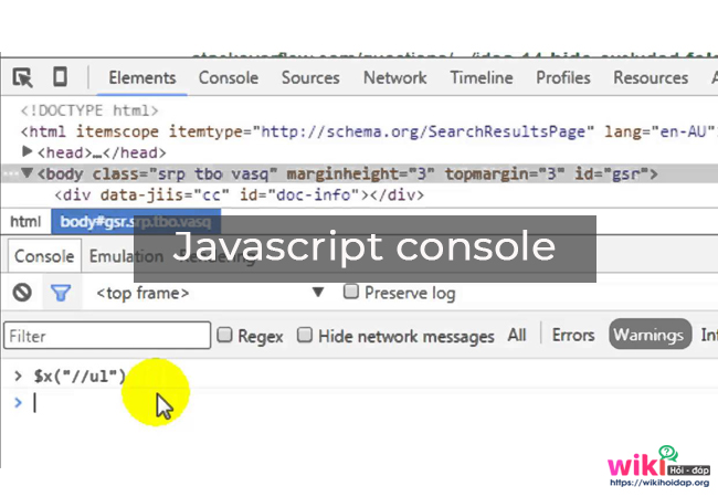 Javascript console: