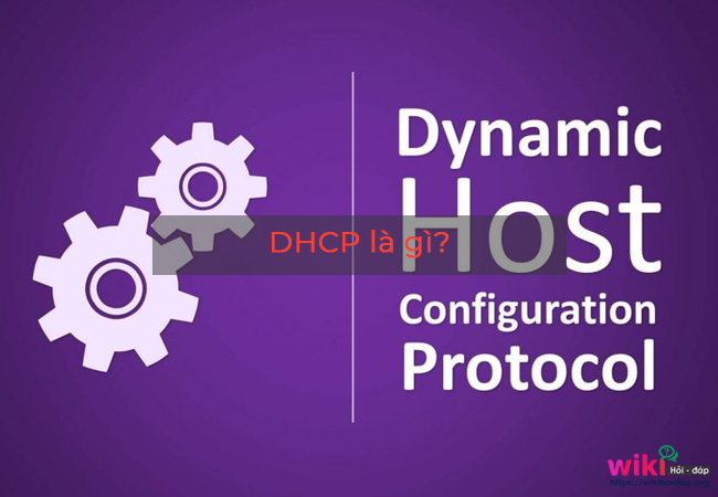 DHCP là gì?