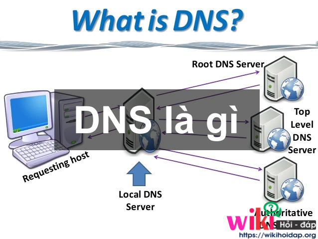 DNS là gì? Những kiến thức cơ bản liên quan đến DNS