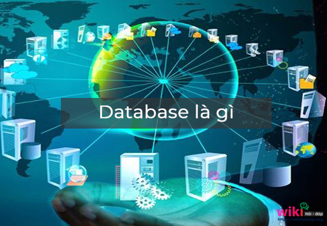 Database là gì? Cơ sở dữ liệu và những vấn đề liên quan bạn cần biết