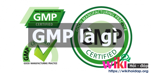 GMP là gì? Tầm quan trọng của tiêu chuẩn GMP