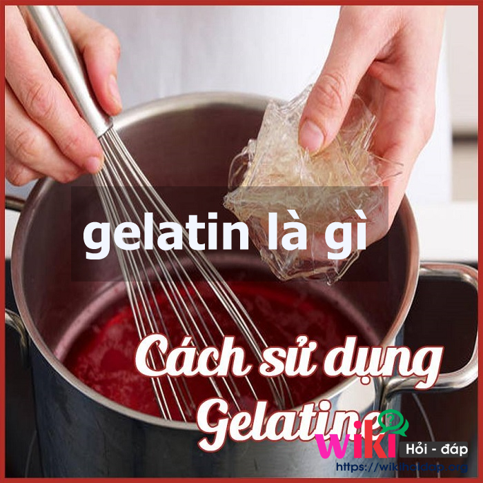 gelatin là gì
