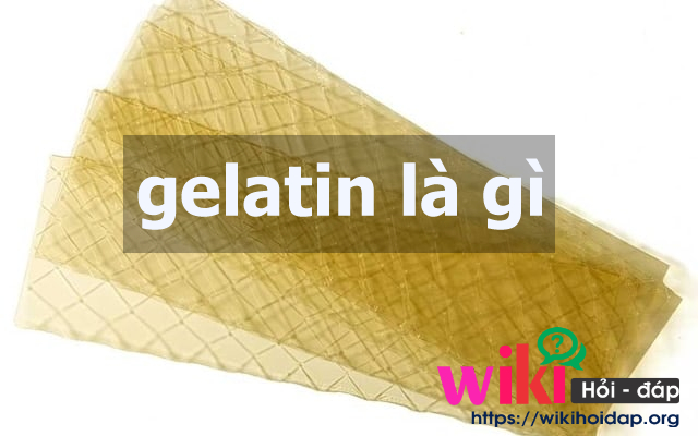 gelatin là gì
