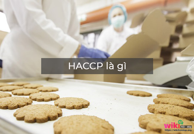 HACCP là gì
