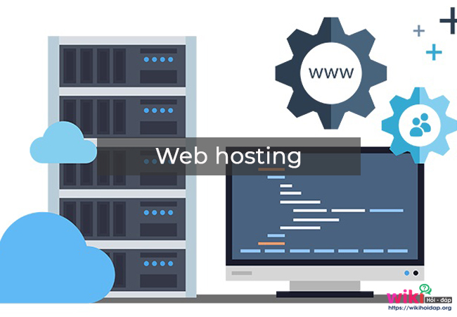 Hosting là gì? Web hosting là gì?