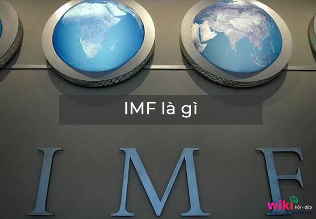 IMF là gì?