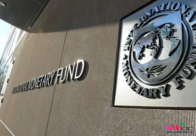 Cơ cấu quản trị của IMF bao gồm những gì?