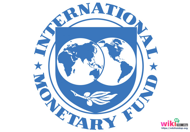 Logo của IMF như thế nào?