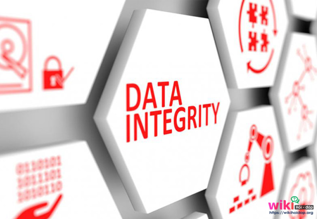 Data integrity là gì?