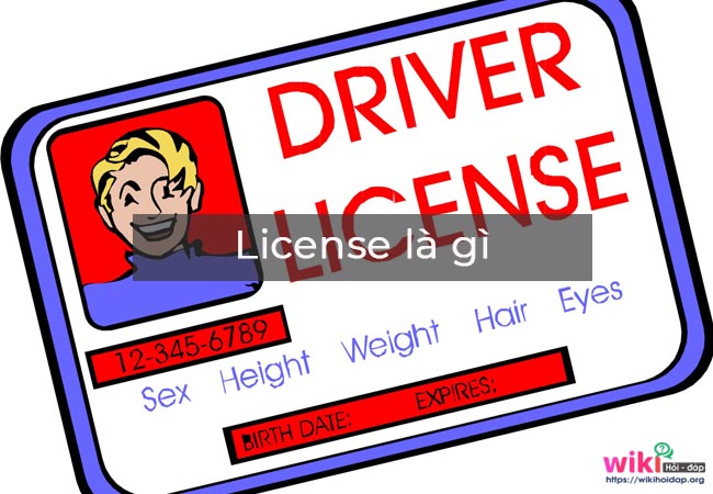  license là gì