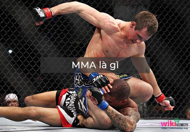 MMA là gì? Võ MMA là gì?