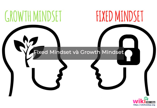 Sự khác nhau giữa Fixed Mindset (Tư duy cố định) và Growth Mindset (Tư duy phát triển).