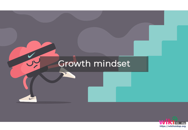 Rèn luyện Growth mindset - Tư duy tăng trưởng.