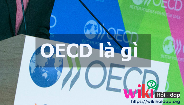 OECD là gì? Những điều cần biết về OECD