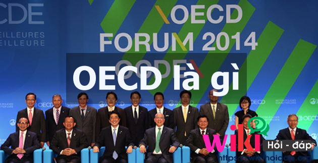 OECD là gì