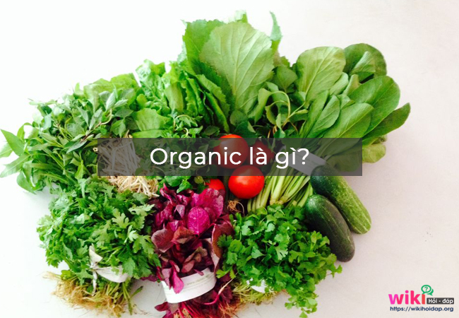 Organic là gì?