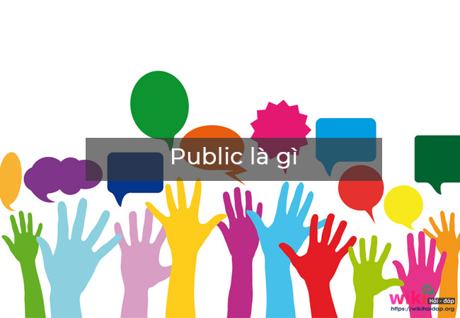 Public là gì? Các thuật ngữ trong đời sống chứa Public