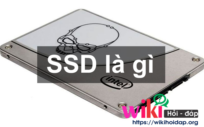 SSD là gì? Phân biệt giữa SSD và HDD