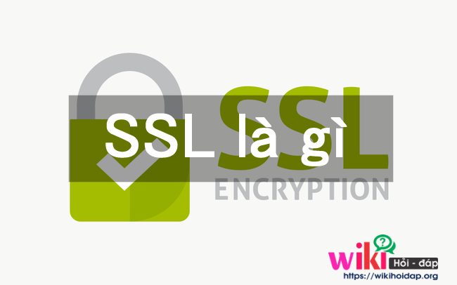 SSL là gì? Tại sao cần sử dụng SSL khi hoạt động website?