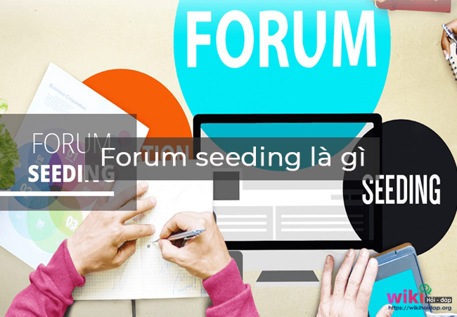 Forum seeding là gì?