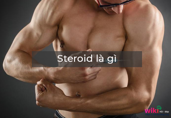 Steroid là gì?
