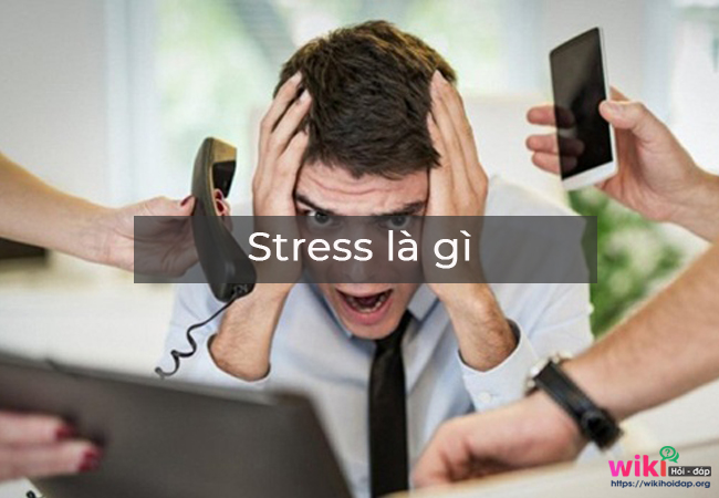 Stress là gì? Những cách đơn giản giúp bạn vượt qua stress hiệu quả