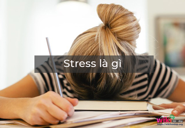 Căng thẳng (Stress) là gì?