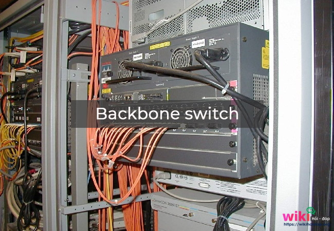 Backbone switch