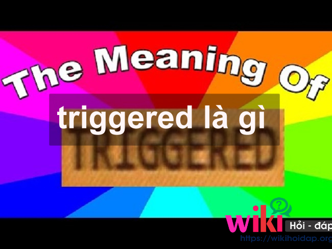 Triggered là gì? Mối quan hệ thú vị giữa triggered và meme mà bạn nên biết