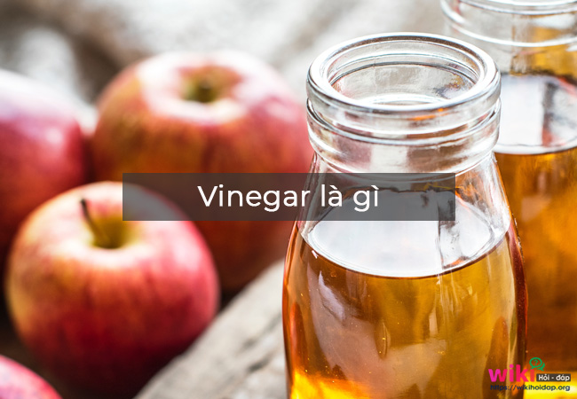 Vinegar là gì?
