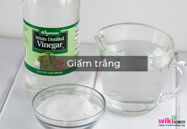 Giấm trắng (white vinegar)