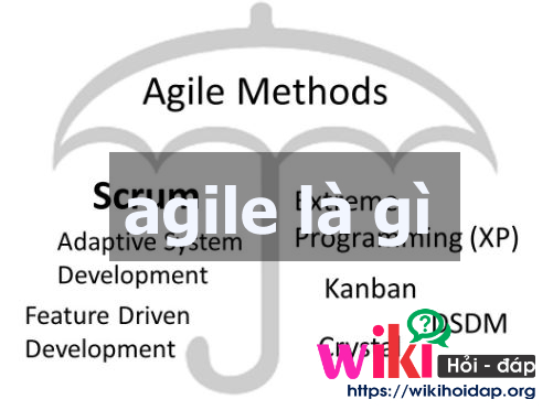 Agile Là Gì? Tìm hiểu những nội dung liên quan đến phương pháp Agile