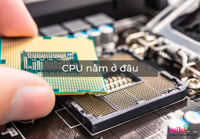 CPU trông như thế nào và nó nằm ở đâu?