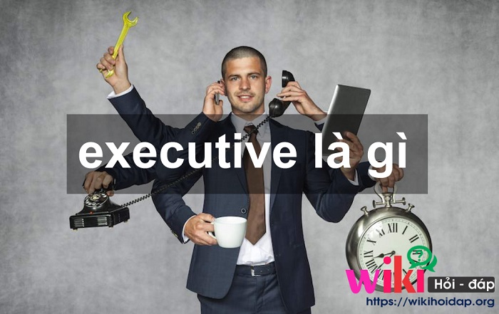 executive là gì
