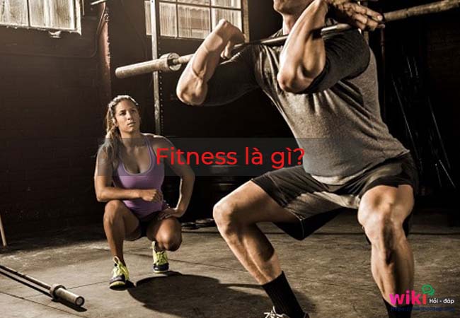 Fitness là gì?