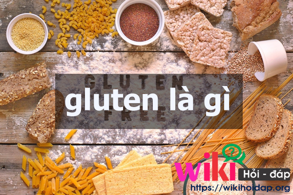 Gluten là gì? Những điều cần biết về gluten