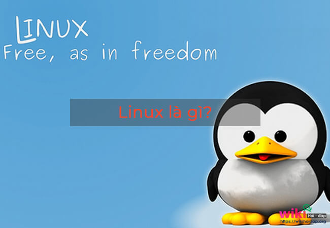 Hệ điều hành linux là gì, công dụng và cách dùng của linux