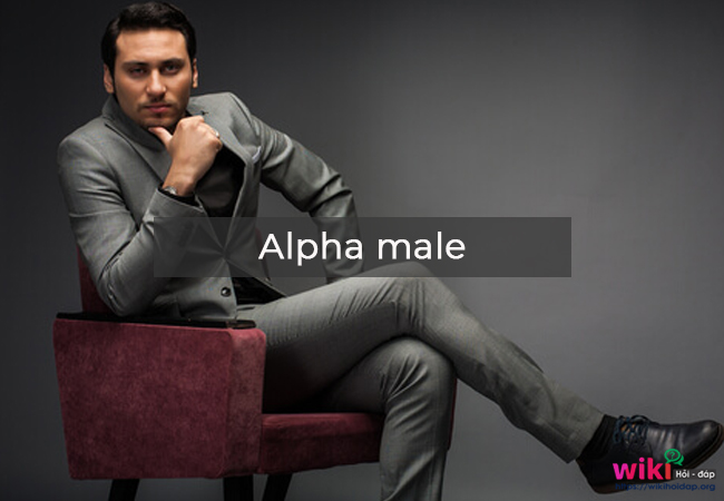 Làm sao để trở thành alpha male?