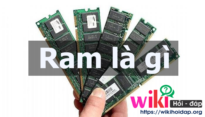 Ram là gì