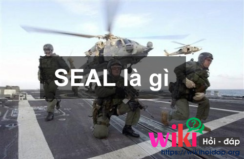 seal là gì